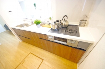 X^CbV@\˔I[vLb`̗pB 