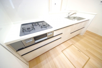 X^CbV@\˔I[vLb`̗pB 