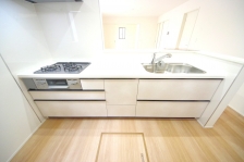 Ȃ烊rOŜn̂ŁAqlV񂾂׋ĂĂꏏɋԂLł܂B 