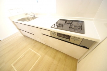 X^CbV@\˔I[vLb`̗pB 