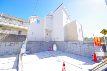 DFœZ߂AKlΊɕςĂ锤łB 