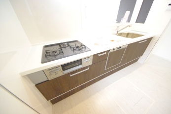 X^CbV@\˔I[vLb`̗pB 