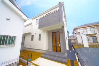 DFœZ߂AKlΊɕςĂ锤łB 