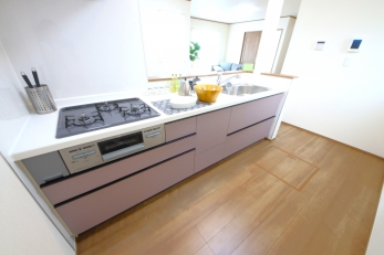 X^CbV@\˔I[vLb`̗pB 