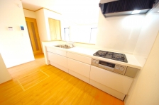 Ȃ烊rOŜn̂ŁAqlV񂾂׋ĂĂꏏɋԂLł܂B 