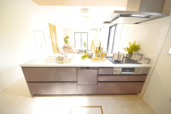 X^CbV@\˔I[vLb`̗pB 