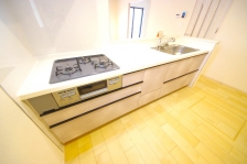 XCh[^CvWdlƂ[ʂƎg̗ǂÂ₷ɂLb`łB 