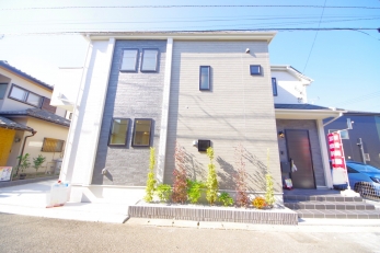 DFœZ߂AKlΊɕςĂ锤łB 