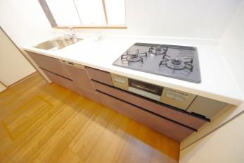 X^CbV@\˔I[vLb`̗pB 