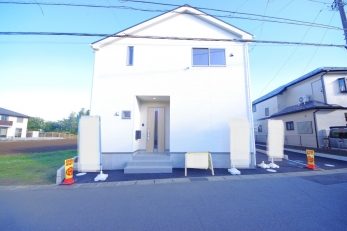 DFœZ߂AKlΊɕςĂ锤łB 