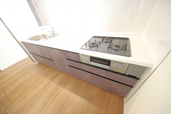 X^CbV@\˔I[vLb`̗pB 