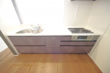 Ȃ烊rOŜn̂ŁAqlV񂾂׋ĂĂꏏɋԂLł܂B 