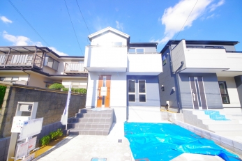 DFœZ߂AKlΊɕςĂ锤łB 