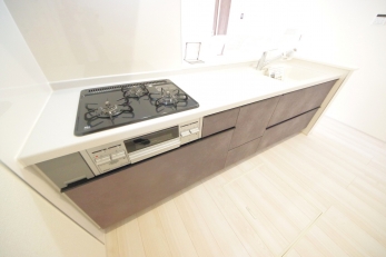 X^CbV@\˔I[vLb`̗pB 