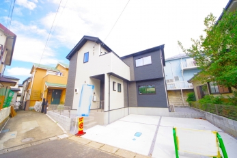 DFœZ߂AKlΊɕςĂ锤łB 